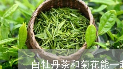 白牡丹茶和菊花能一起喝吗/2023041365816