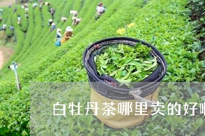 白牡丹茶哪里卖的好啊价格/2023041320603