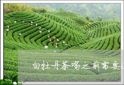 白牡丹茶喝之前需要洗茶吗/2023041328271