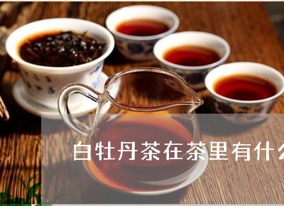 白牡丹茶在茶里有什么美誉/2023041046271