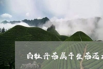 白牡丹茶属于生茶还是熟茶/2023041057261