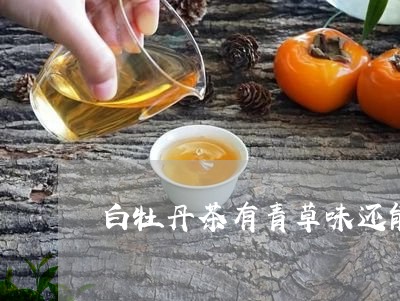 白牡丹茶有青草味还能喝吗/2023041325140