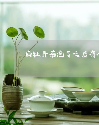 白牡丹茶泡了之后有个异味/2023041355148