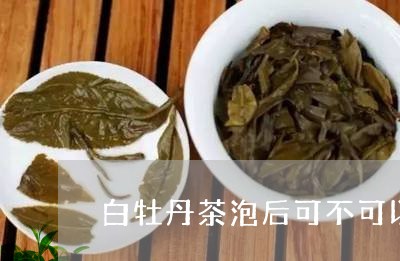 白牡丹茶泡后可不可以再煮/2023041337385