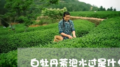 白牡丹茶泡水过是什幺颜色/2023041093047