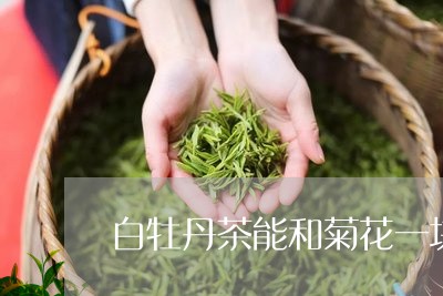 白牡丹茶能和菊花一块泡吗/2023041038492