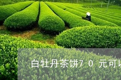 白牡丹茶饼70元可以买吗/2023033129603