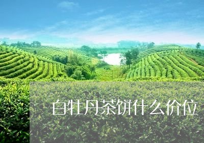 白牡丹茶饼什么价位/2023032052836