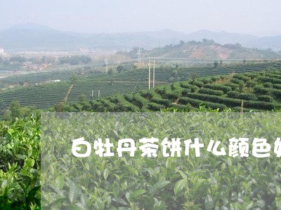 白牡丹茶饼什么颜色好一点/2023041025047