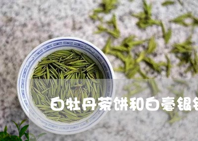 白牡丹茶饼和白毫银针茶饼/2023041359179