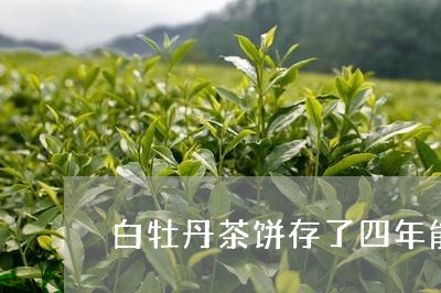 白牡丹茶饼存了四年能喝吗/2023041380415