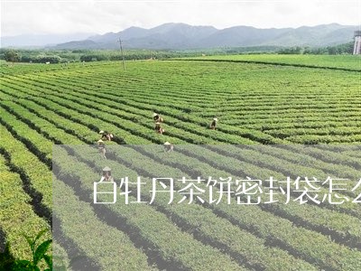 白牡丹茶饼密封袋怎么保存/2023041075158