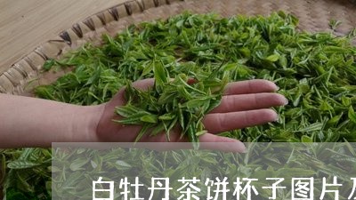 白牡丹茶饼杯子图片及价格/2023041343928