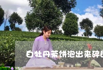 白牡丹茶饼泡出来碎的挺多/2023041073915