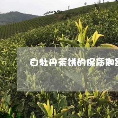 白牡丹茶饼的保质期是多长/2023041378604