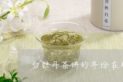 白牡丹茶饼的年份在那里看/2023041079491