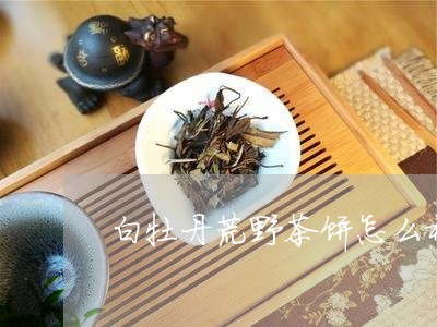 白牡丹荒野茶饼怎么样保存/2023041344025