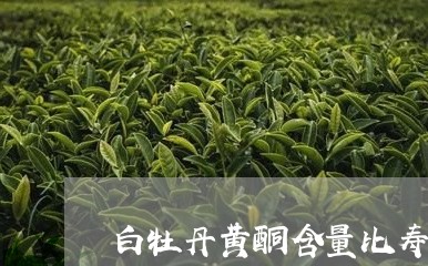 白牡丹黄酮含量比寿眉高吗/2023041394837