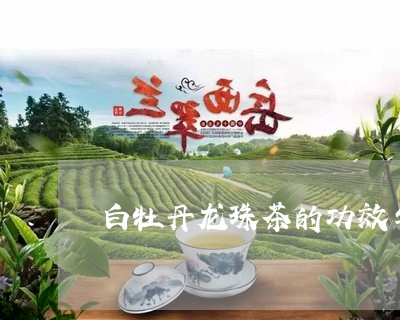 白牡丹龙珠茶的功效与作用/2023041033146