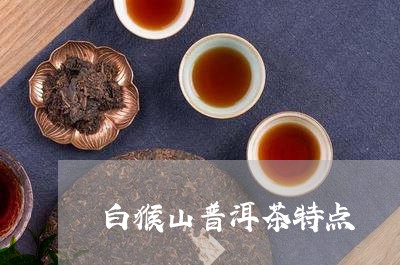 白猴山普洱茶特点/2023041319584