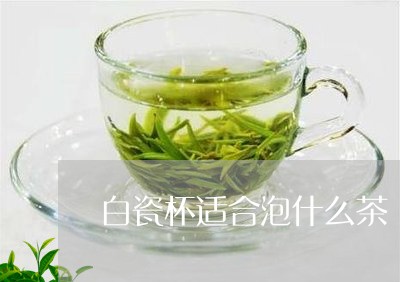 白瓷杯适合泡什么茶/2023041571412