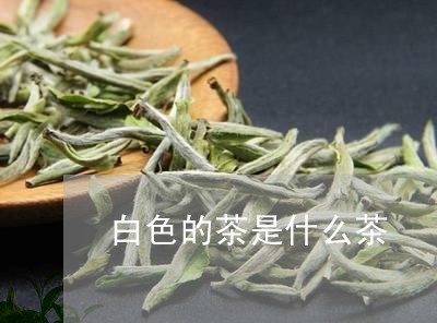 白色的茶是什么茶/2023032464936