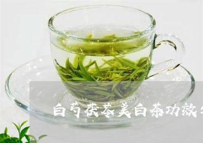 白芍茯苓美白茶功效与禁忌/2023041386360