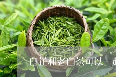 白芷和老白茶可以一起煮嘛/2023041349682