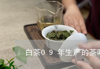 白茶09年生产的茶叶价格/2023033063726