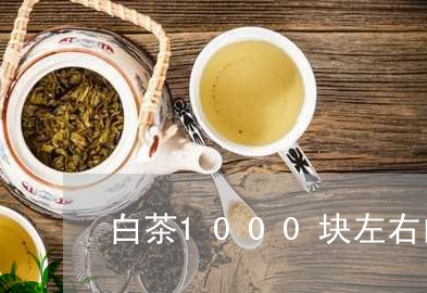 白茶1000块左右的礼物/2023033159483