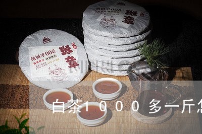 白茶1000多一斤怎么样/2023033148271