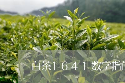 白茶1641数字指的什么/2023033057369