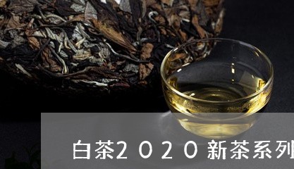 白茶2020新茶系列价格/2023033001425