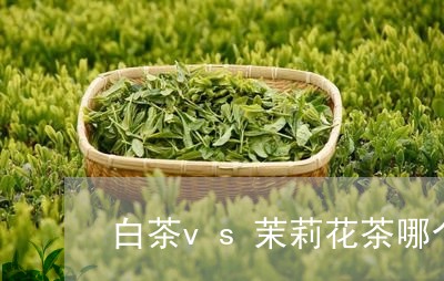 白茶vs茉莉花茶哪个好喝/2023041080794