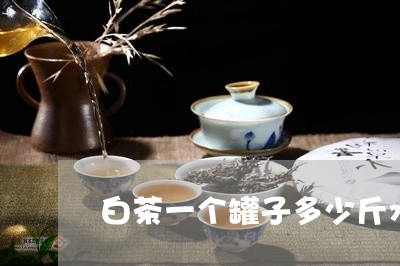 白茶一个罐子多少斤水煮茶/2023041061582