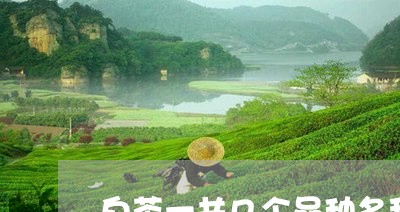 白茶一共几个品种名称图片/2023041008591