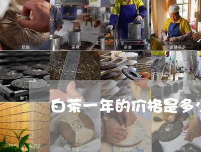 白茶一年的价格是多少一斤/2023041347280