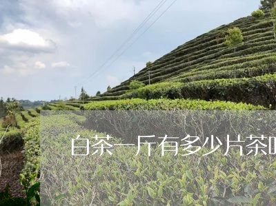 白茶一斤有多少片茶叶图片/2023041023838