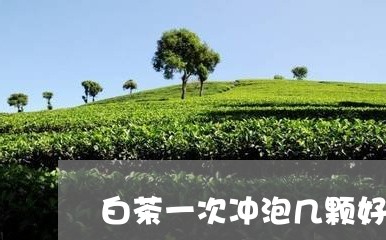 白茶一次冲泡几颗好喝一些/2023041389694