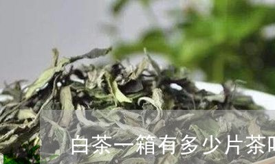 白茶一箱有多少片茶叶含量/2023041092847