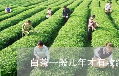 白茶一般几年才有收藏价值/2023041010613