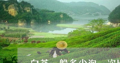 白茶一般多少泡一次比较好/2023041074927