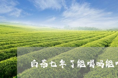 白茶七年了能喝吗能喝多少/2023041078168