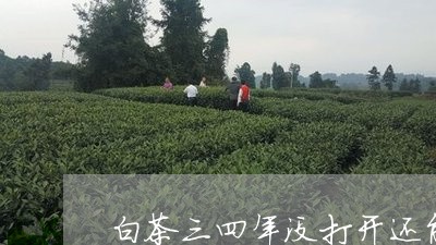 白茶三四年没打开还能喝吗/2023041015948