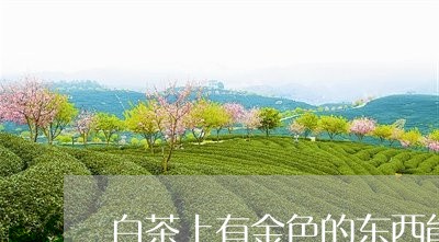 白茶上有金色的东西能喝吗/2023041314726