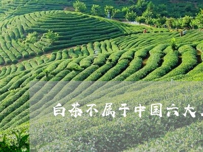 白茶不属于中国六大名茶吗/2023041018480