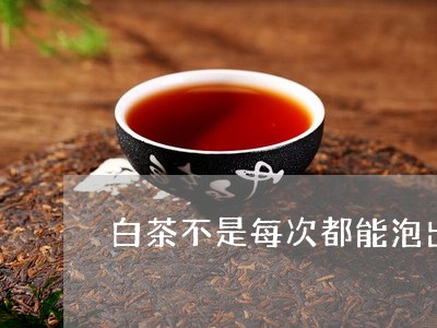 白茶不是每次都能泡出枣香/2023041083626