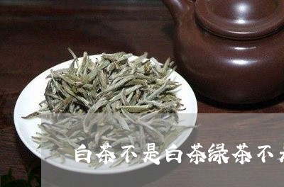 白茶不是白茶绿茶不是绿茶/2023041006036