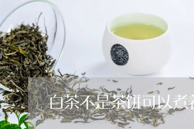 白茶不是茶饼可以煮着喝吗/2023041086280