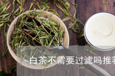 白茶不需要过滤吗推荐/2023040981615